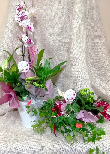 Kwiaciarnia Magnolia Rąbin